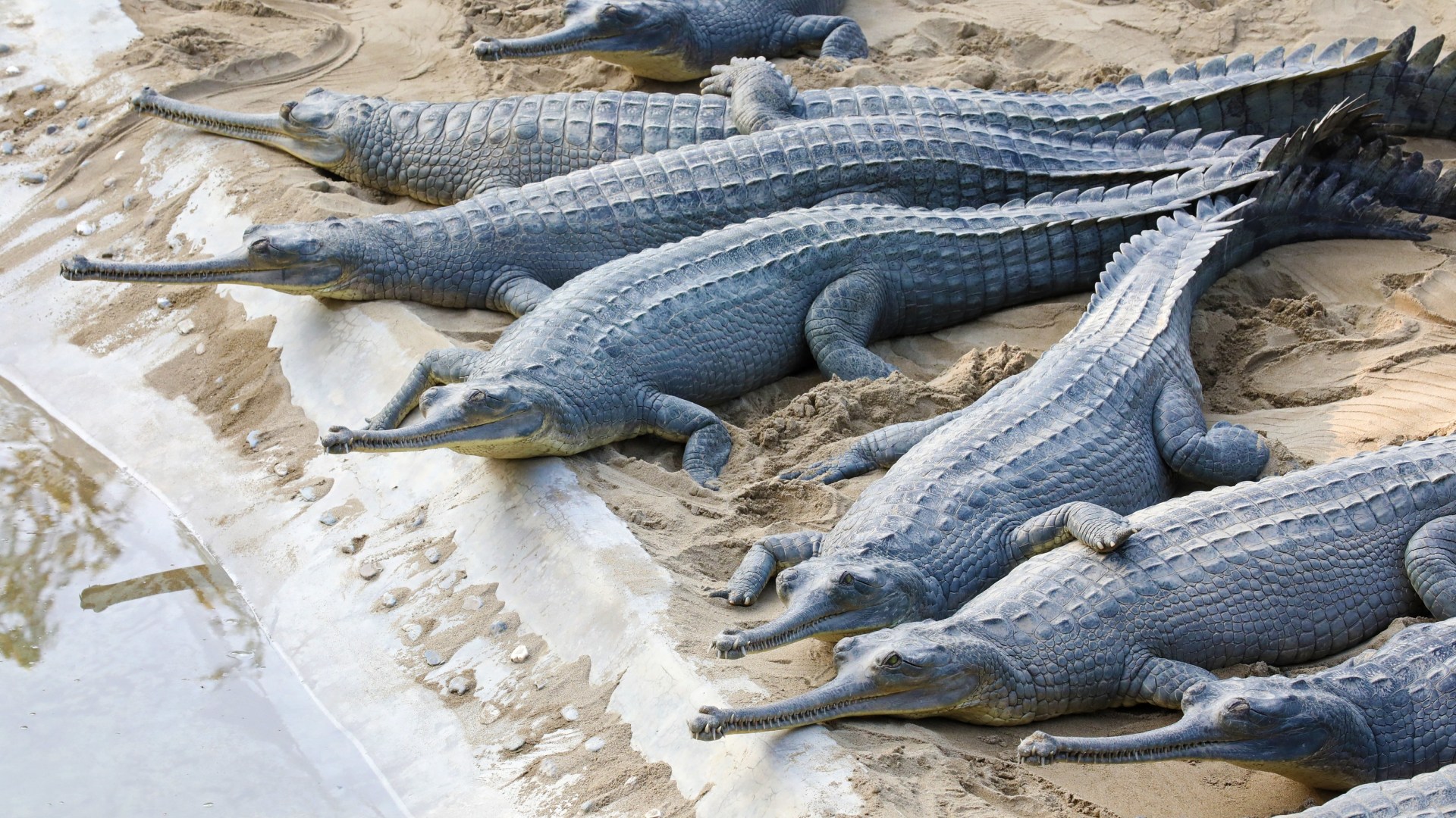 Nepal für Einsteiger